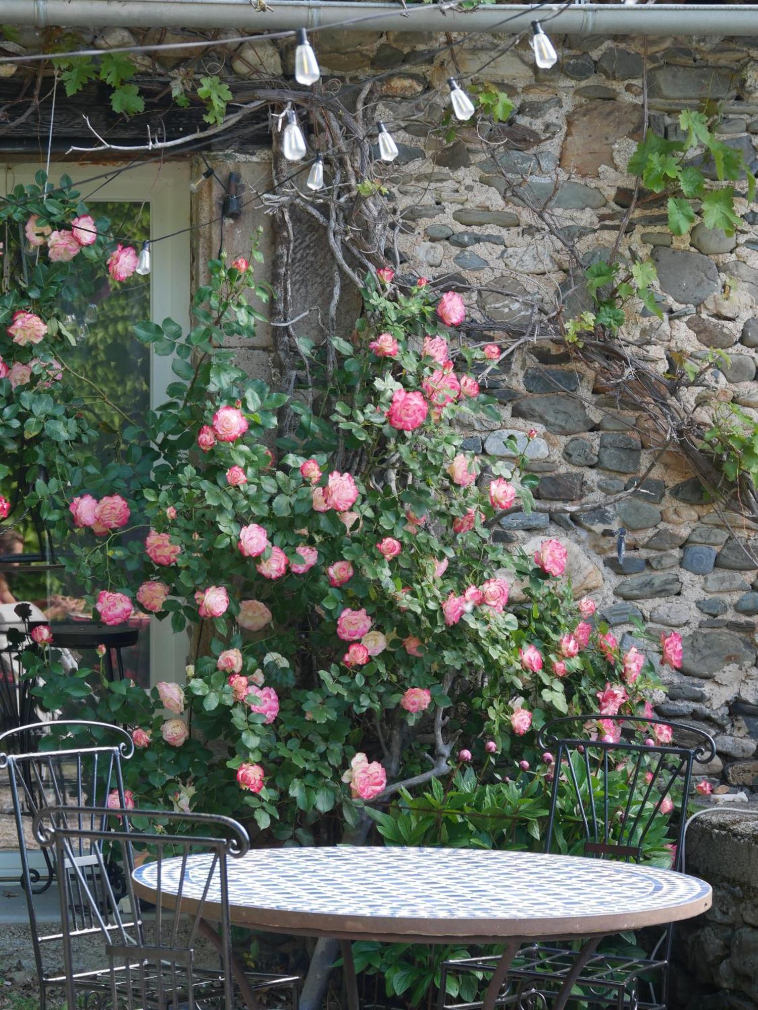 Les Jardins De Lumiere Bed & Breakfast Brusque Exterior photo